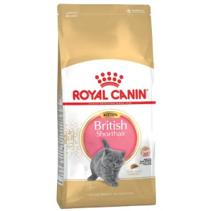 ROYAL CANIN British Shorthair Kitten Granule pre britské krátkosrsté mačiatka, 400g