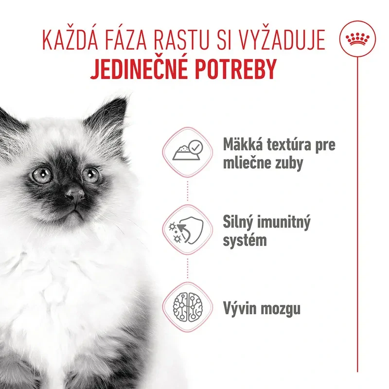 ROYAL CANIN Kitten Jelly Kapsička pre mačiatka v želé, 85g