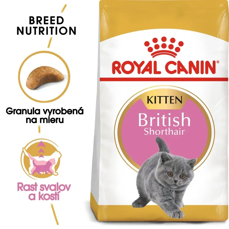 ROYAL CANIN British Shorthair Kitten Granule pre britské krátkosrsté mačiatka, 2kg