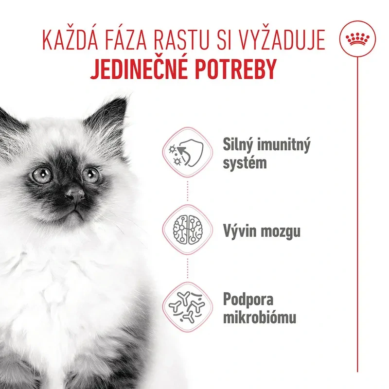 ROYAL CANIN Kitten Granule pre mačiatka v ich druhej fáze rastu, 2kg