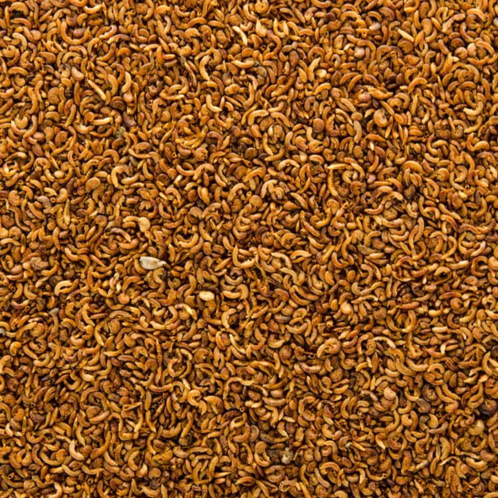 JK ANIMALS Gammarus Mini, 25 g