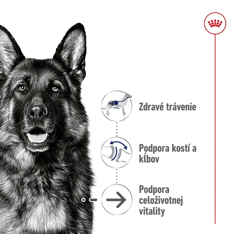 ROYAL CANIN MAXI Ageing 8+ Granule pre staršie psy veľkých plemien, 15 kg