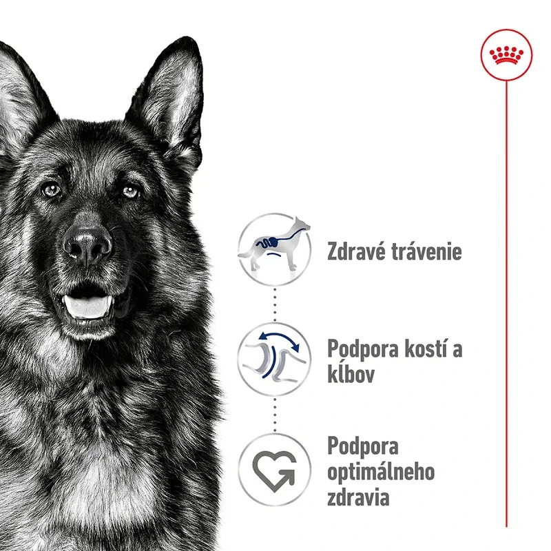 ROYAL CANIN Maxi Adult Granule pre dospelých psov veľkých plemien