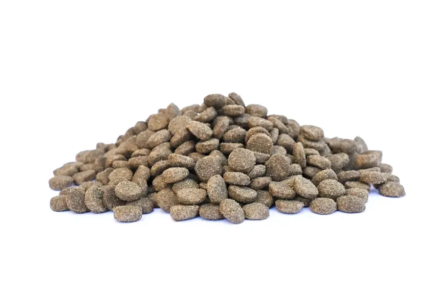 ENERGYS Dog Senior & Light All Breeds Beef, 12kg 