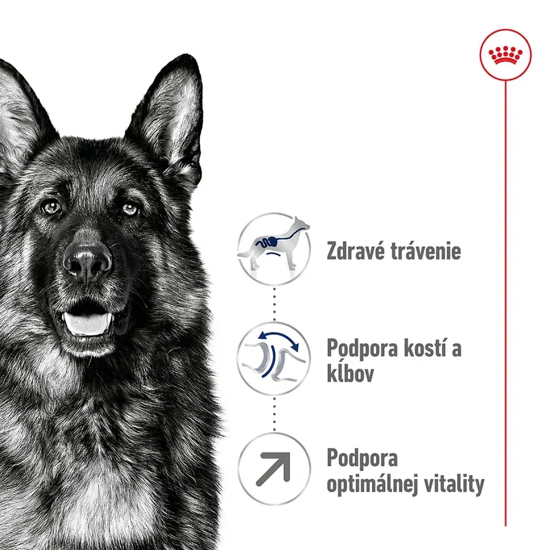 ROYAL CANIN Maxi Adult 5+ Granule pre dospelé starnúce veľké psy, 15kg