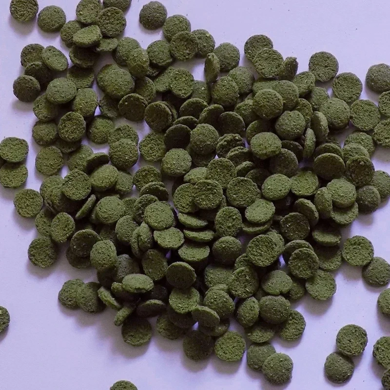 NUTRIN Aquarium Algae Lentils, 110g