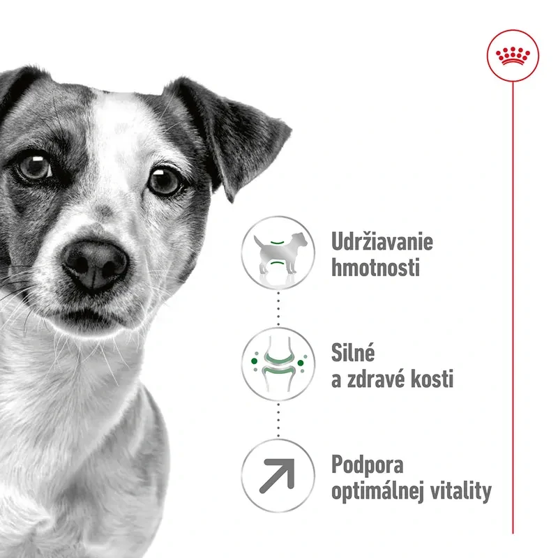 Royal Canin Mini Adult 8+ Granule pre dospelé starnúce psy, 8kg