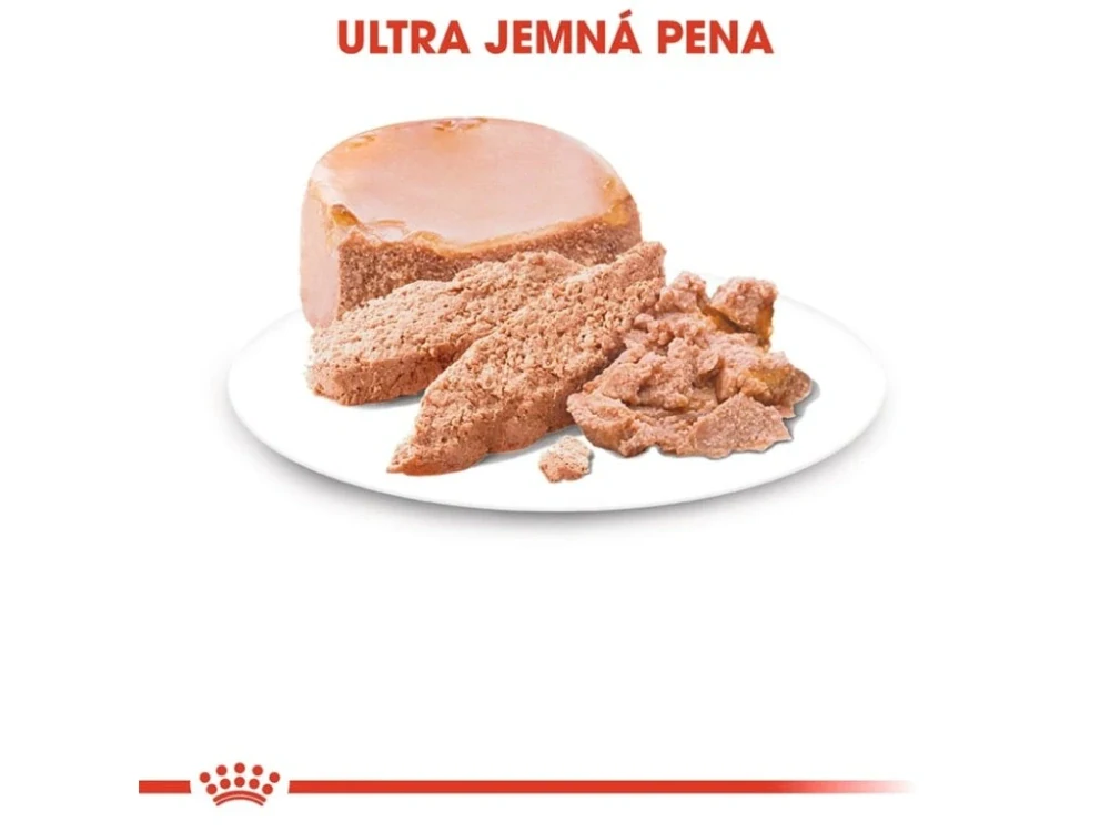ROYAL CANIN Starter Mother & Babydog Mousse Konzerva, 195g