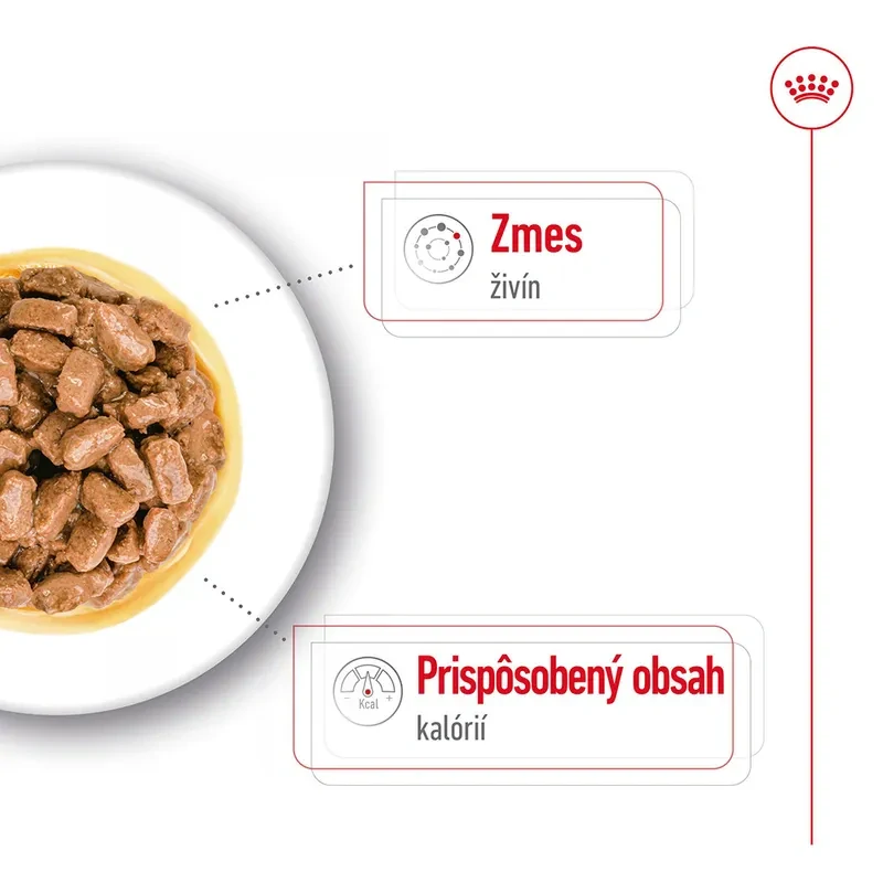 ROYAL CANIN Mini Ageing 12+ Kapsička pre dospelé malé psy, 85g
