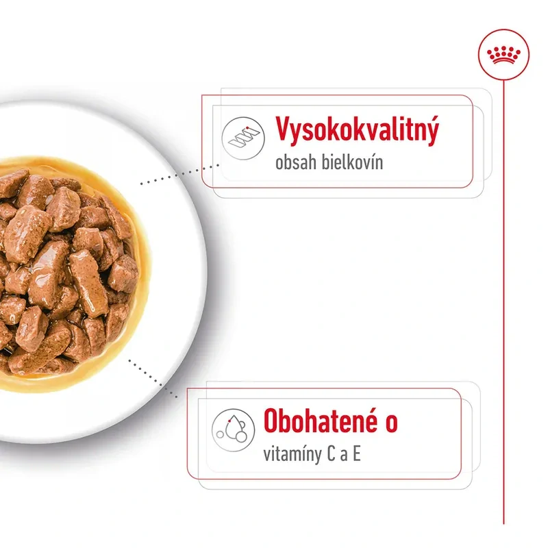 ROYAL CANIN Medium Adult Kapsička v šťave pre dospelé stredné psy, 140g