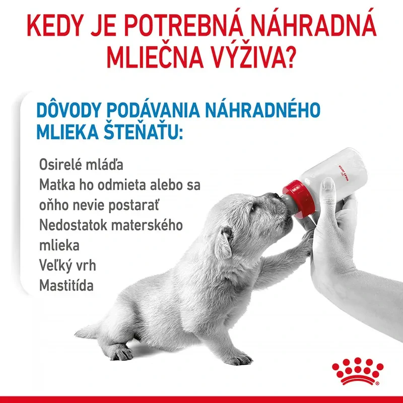 ROYAL CANIN Babydog Milk Náhrada mlieka pre šteniatka