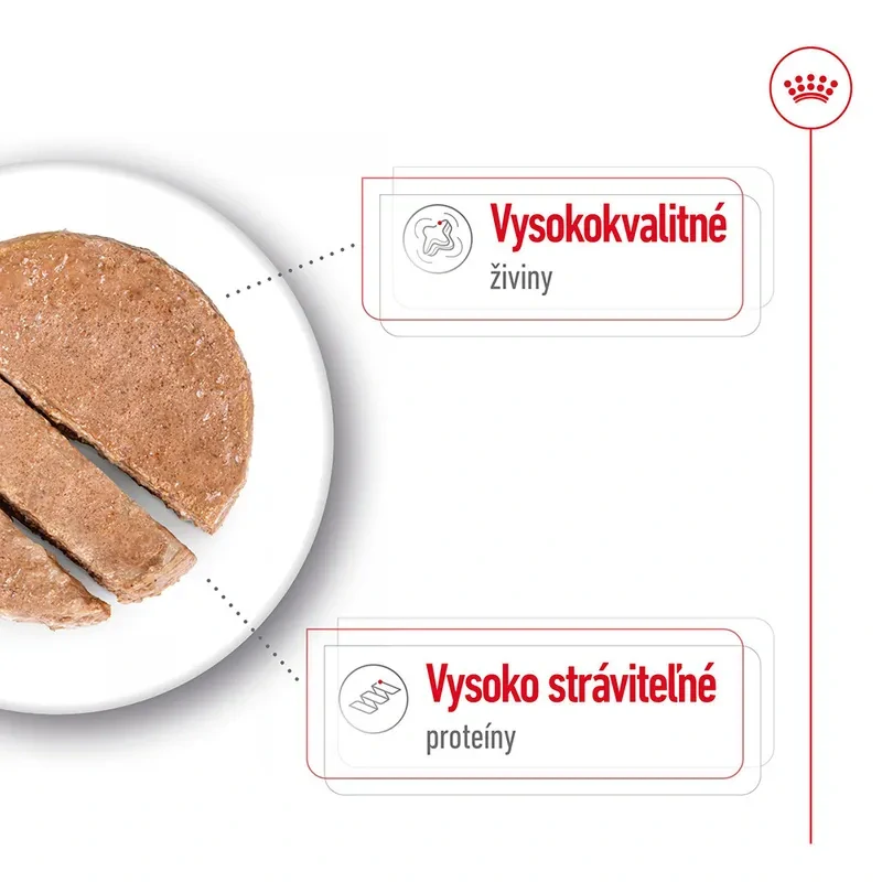 ROYAL CANIN Maxi Paštéta pre psy veľkých plemien, 410g