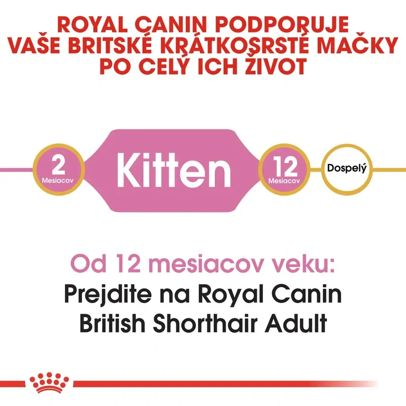 ROYAL CANIN British Shorthair Kitten Granule pre britské krátkosrsté mačiatka, 2kg