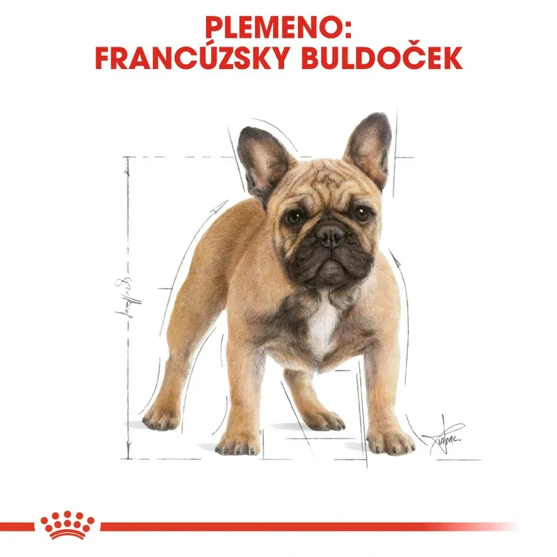 ROYAL CANIN French Bulldog Adult Granule pre dospelého francúzskeho buldočka, 1,5kg