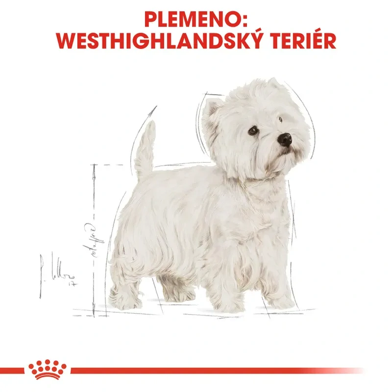 ROYAL CANIN Westie Adult Granule pre dospelého westhinghlandského bieleho teriéra