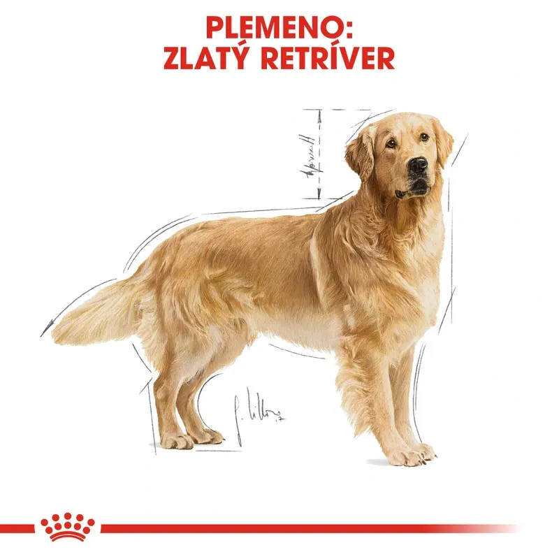 ROYAL CANIN Golden Retriever Adult Granule pre dospelého zlatého retrievera, 12kg