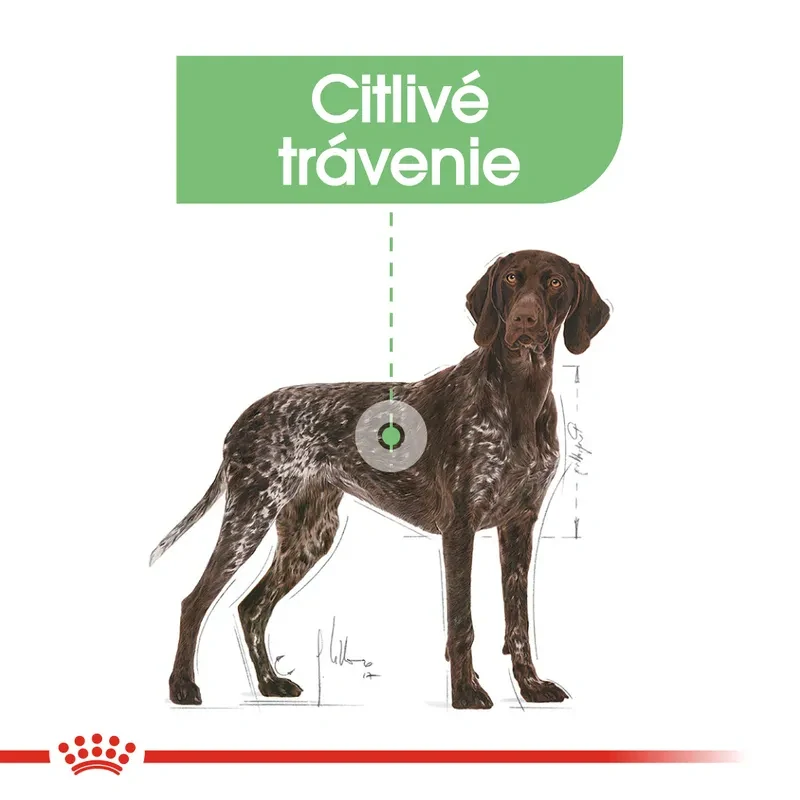 ROYAL CANIN Maxi Digestive Care Granule pre veľké psy s citlivým trávením, 3kg