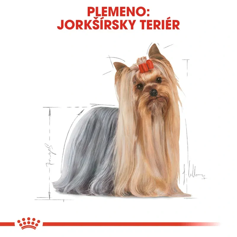 ROYAL CANIN Yorkshire Adult Granule pre dospelého jorkšírskeho teriéra