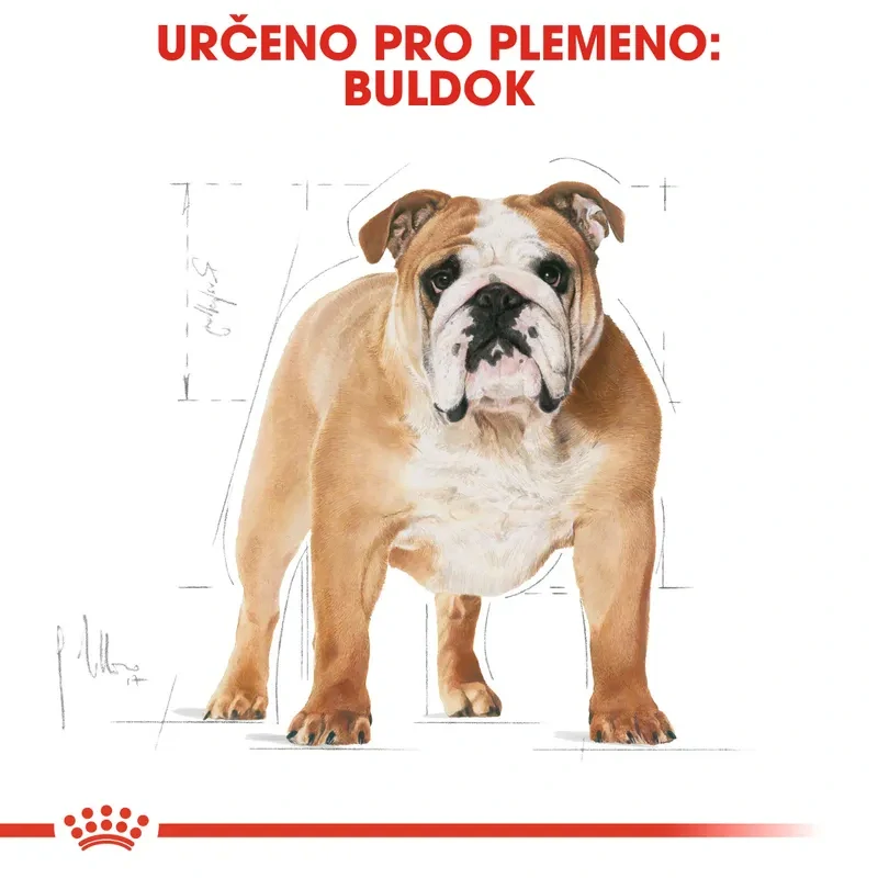 ROYAL CANIN Bulldog Adult Granule pre dospelého buldoga, 12kg