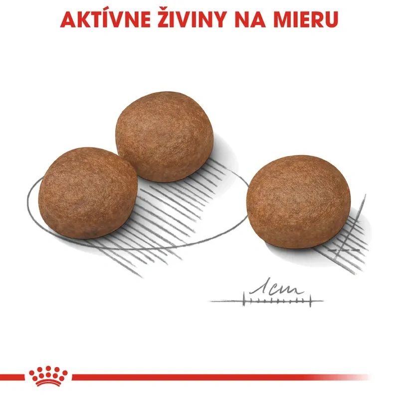 ROYAL CANIN Medium Digestive Care Granule pre stredných psov s citlivým trávením