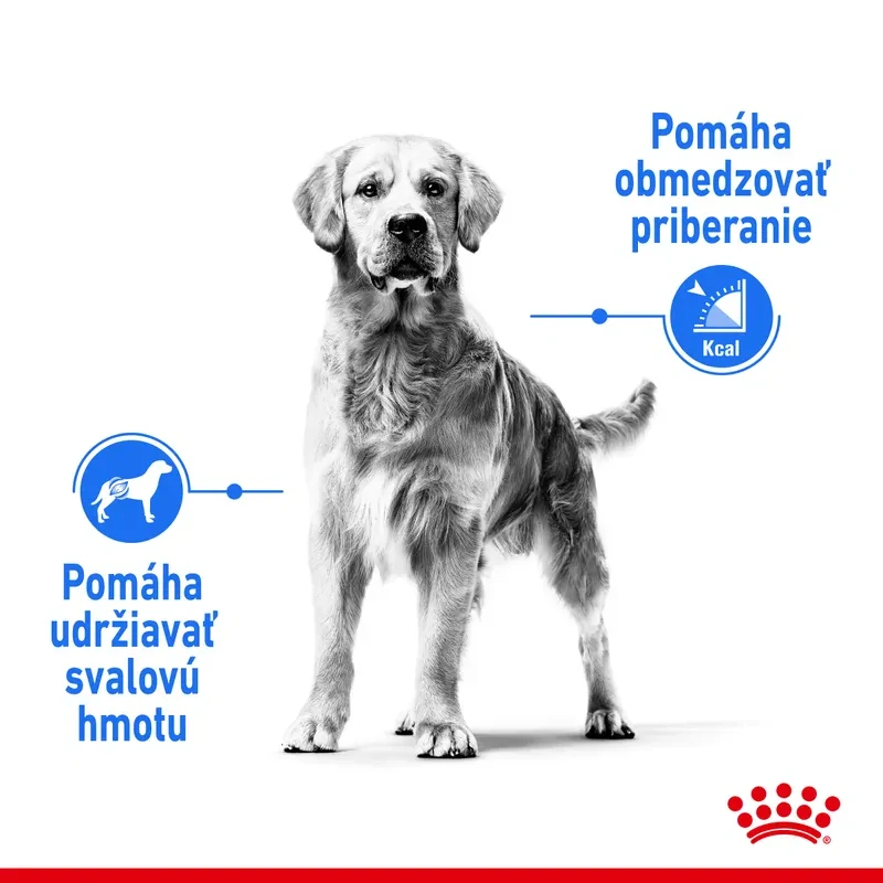 ROYAL CANIN Medium Light Weight Care Diétne granule pre stredných psov, 12kg