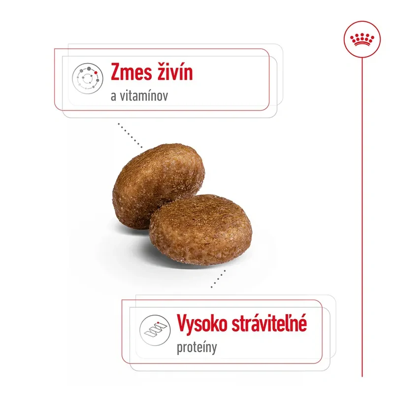 ROYAL CANIN Maxi Adult 5+ Granule pre dospelé starnúce veľké psy, 15kg