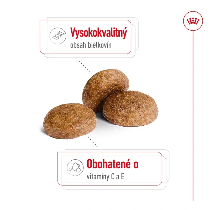 ROYAL CANIN Medium Adult 7+ Granule pre dospelé starnúce stredné psy