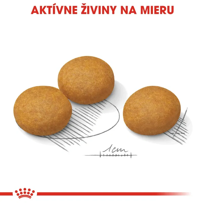 ROYAL CANIN Maxi Dermacomfort Granule pre veľké psy s problémami s kožou, 12kg