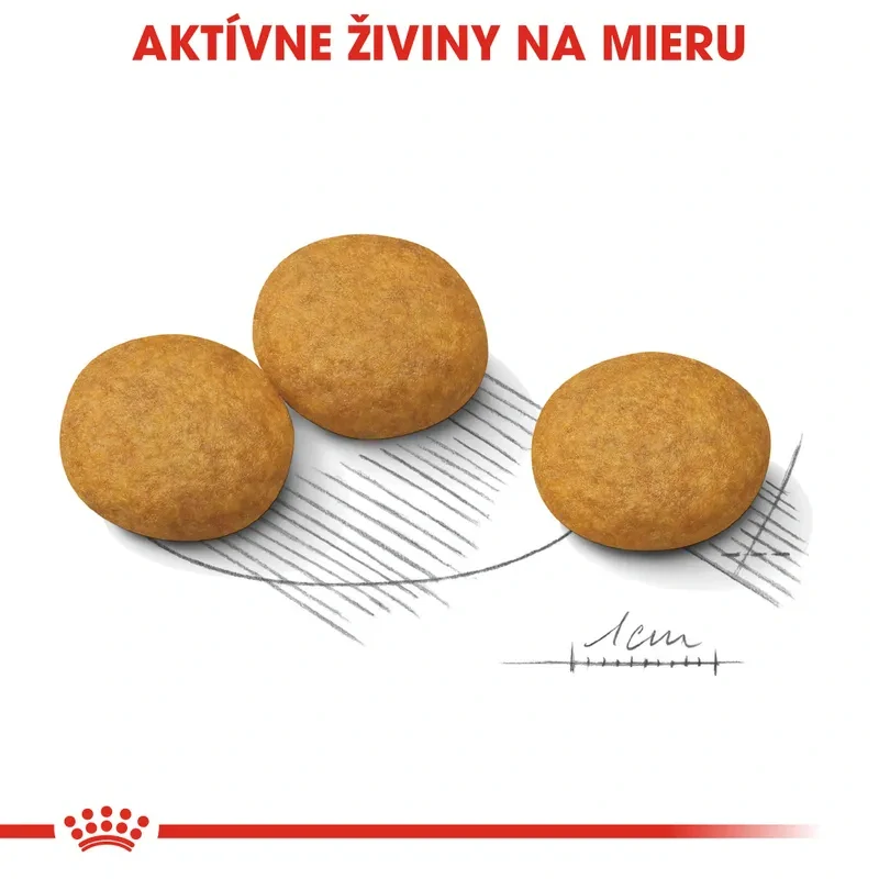 ROYAL CANIN Medium Dermacomfort Granule pre stredné psy s problémami s kožou