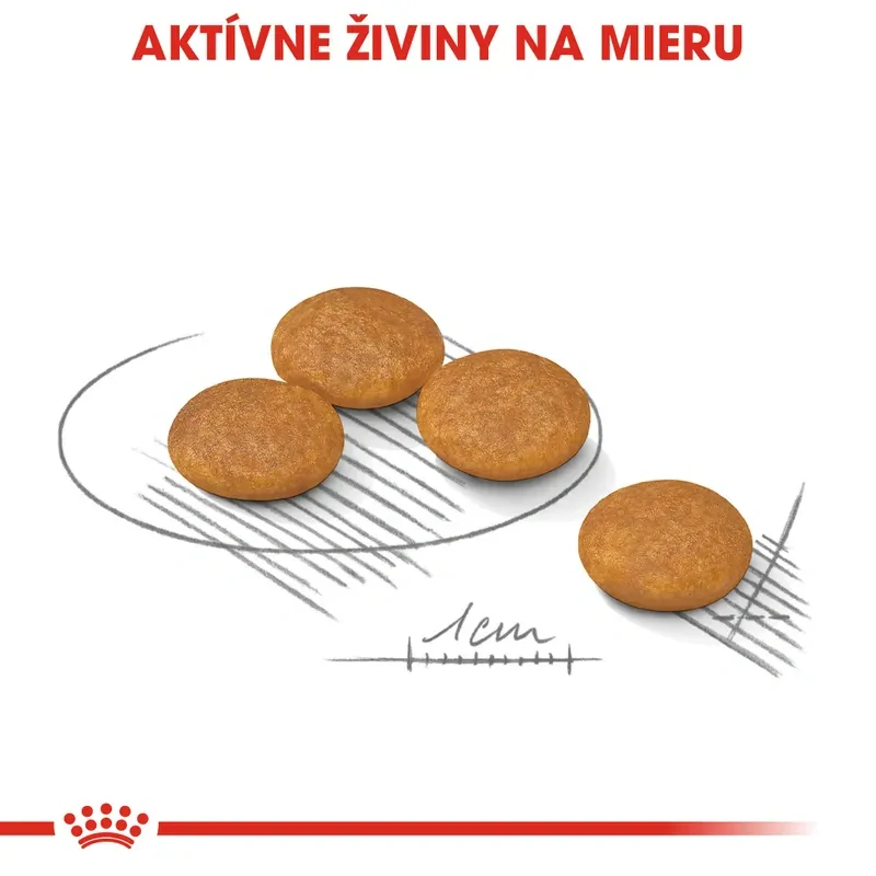 ROYAL CANIN Mini Dermacomfort Granule pre malé psy s problémami s kožou