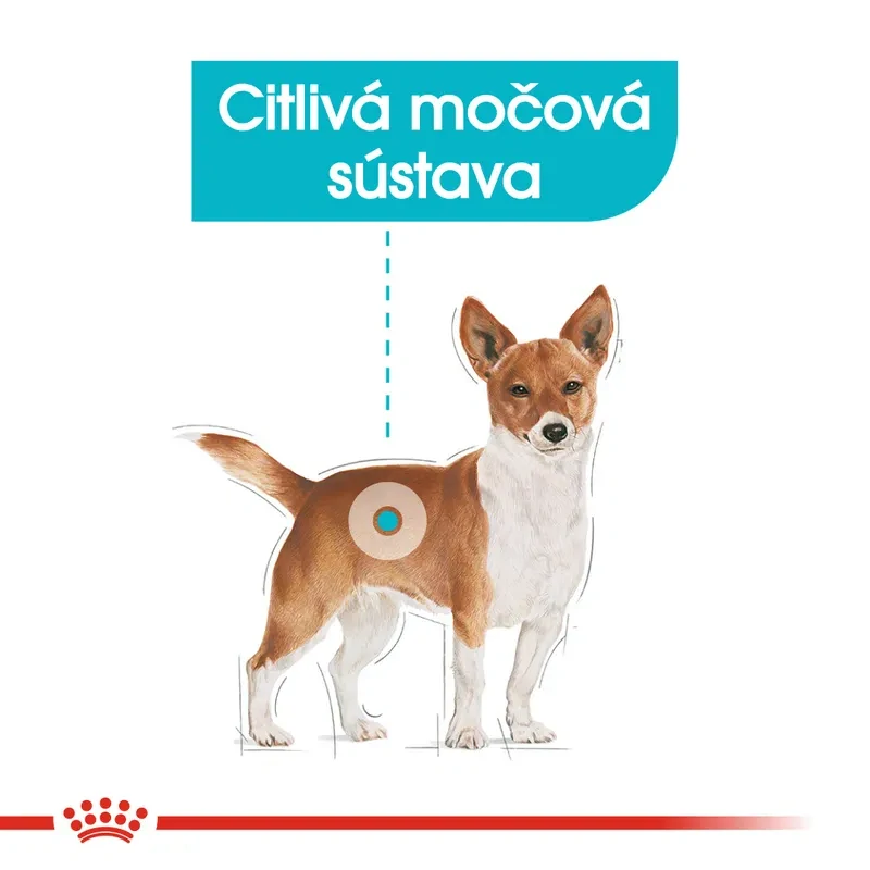 Royal Canin Mini Urinary Care Granule pre psy s obličkovými problémami