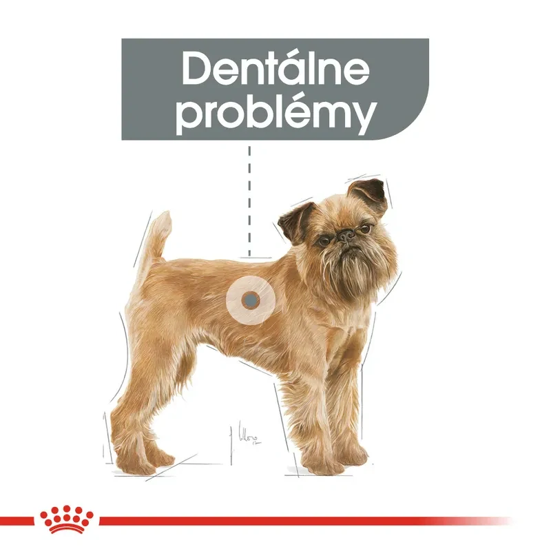 ROYAL CANIN Mini Dental Care Granule pre psy znižujúce tvorbu zubného kameňa