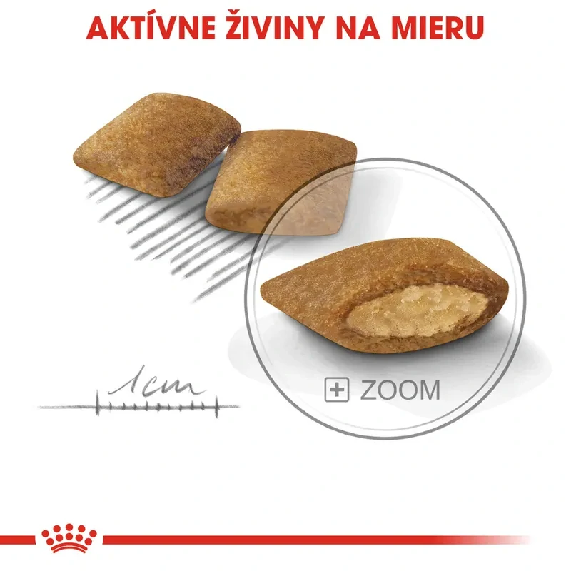 ROYAL CANIN Mini Exigent Granule pre maškrtné malé psy