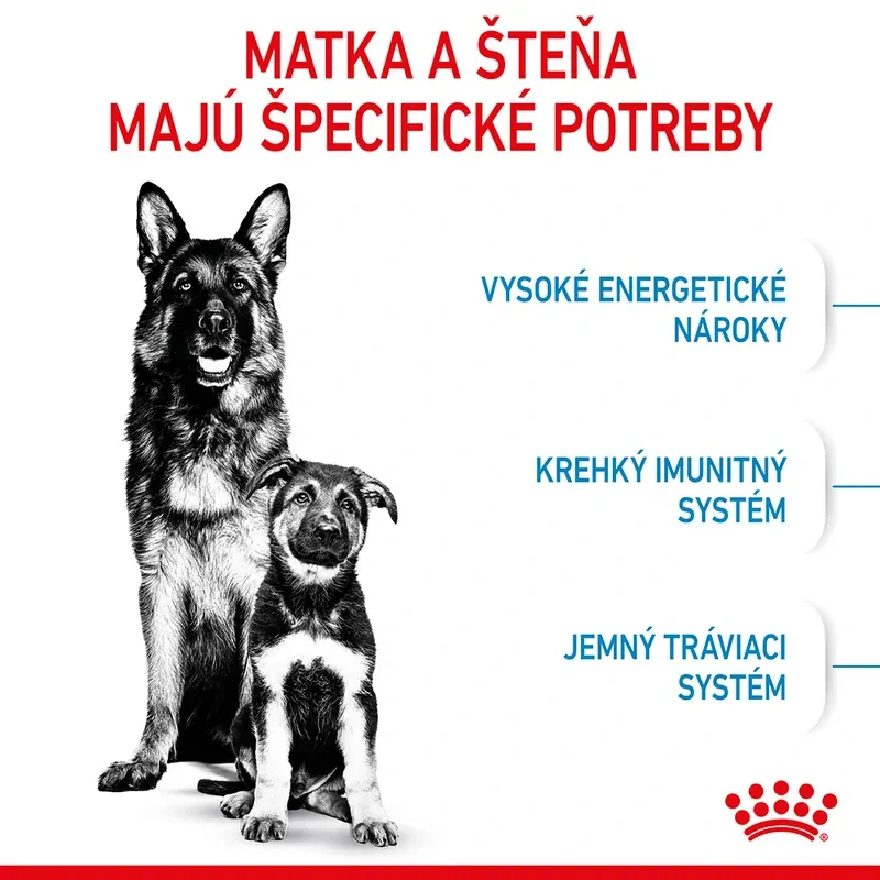 ROYAL CANIN Maxi Starter Mother & Babydog