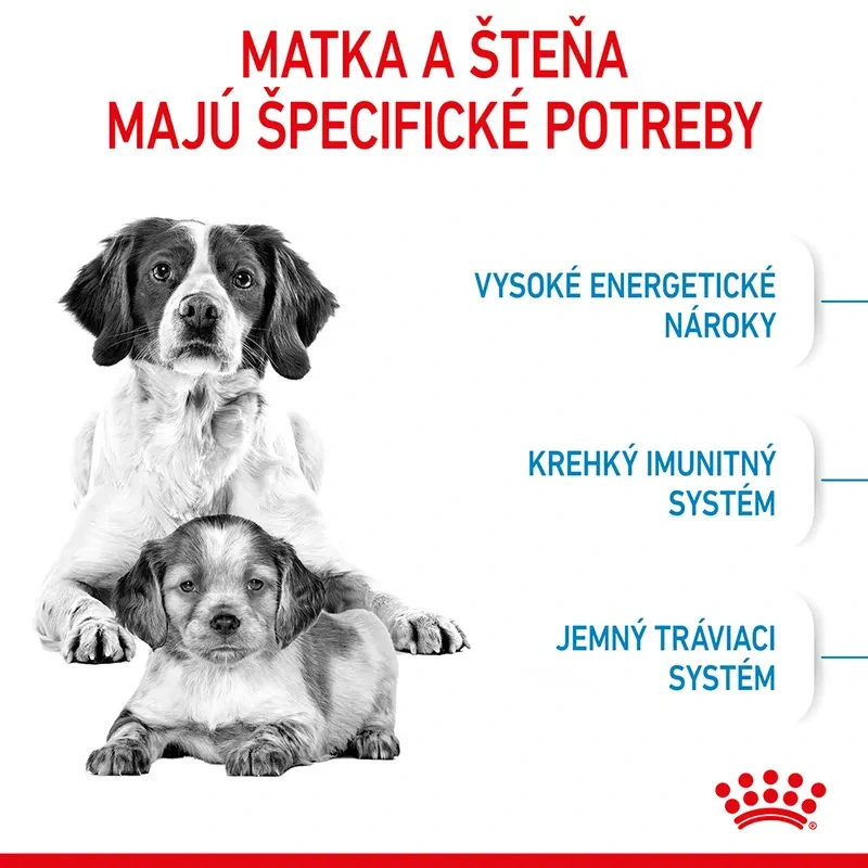 ROYAL CANIN Medium Starter Mother & Babydog