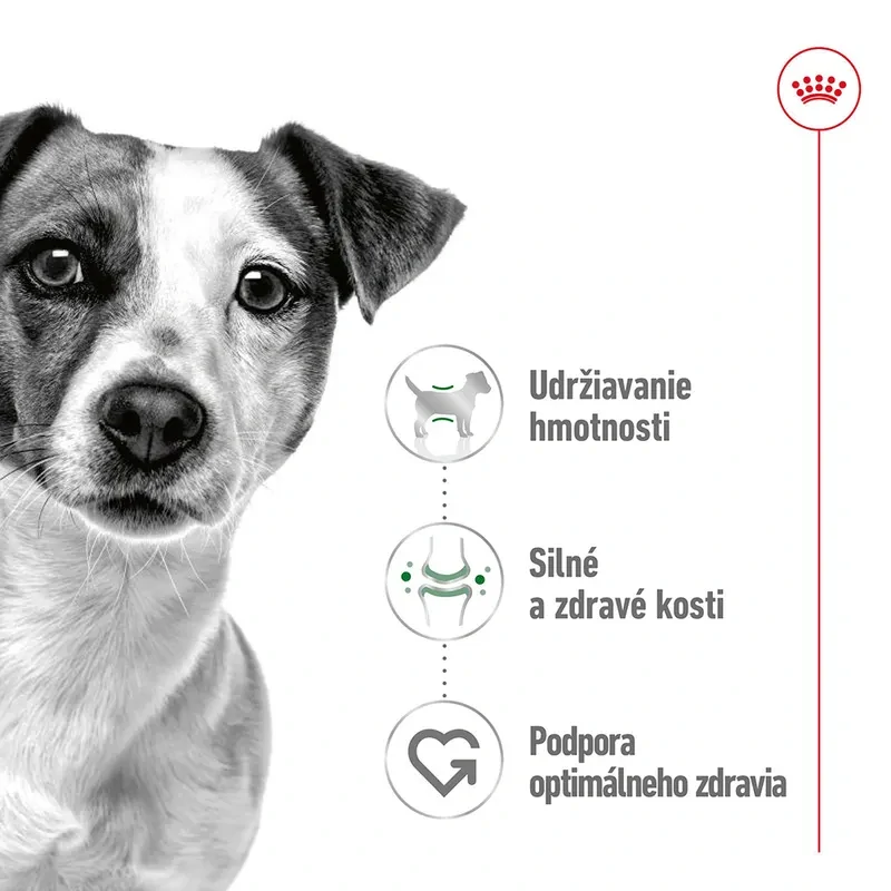 ROYAL CANIN Mini Adult Kapsička pre dospelé malé psy, 85g
