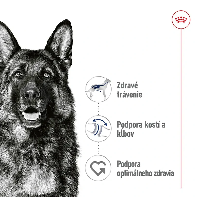 ROYAL CANIN Maxi Adult Kapsička v šťave pre dospelé veľké psy, 140g