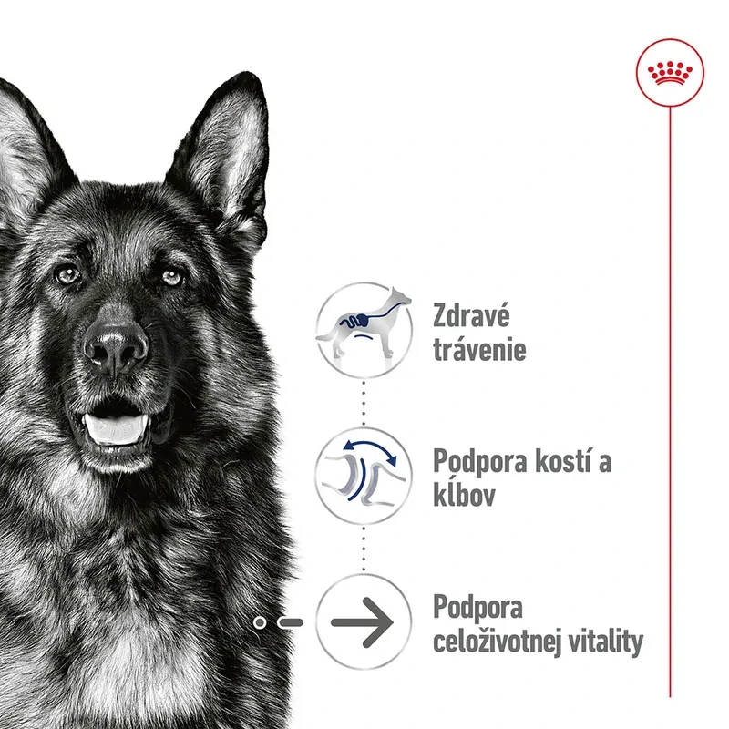 ROYAL CANIN Maxi Ageing Paštéta pre psy veľkých plemien starších ako 5 rokov, 410g