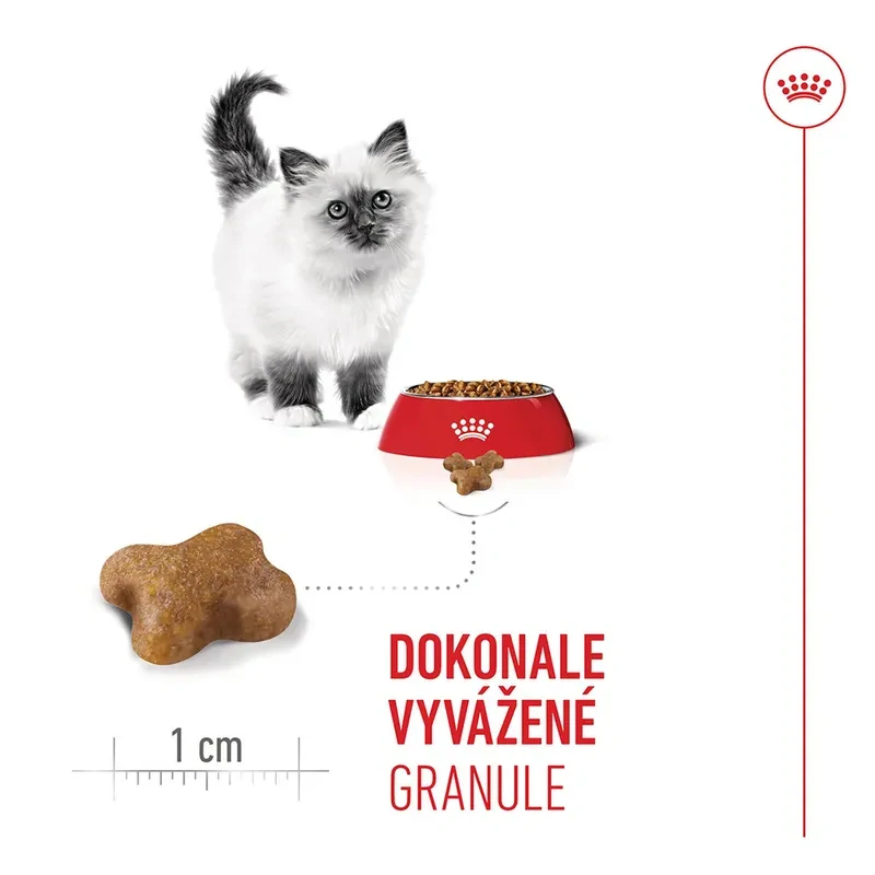 ROYAL CANIN Kitten Granule pre mačiatka v ich druhej fáze rastu, 2kg