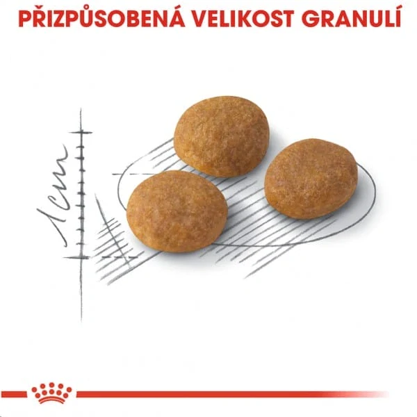 ROYAL CANIN Fussy Exigent Granule pre veľmi prieberčivé dospelé mačky, 10kg