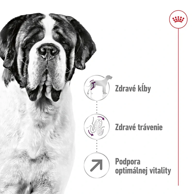 ROYAL CANIN Giant Adult Granule pre dospelé psy obrích plemien