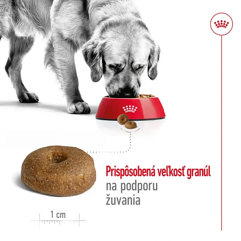 ROYAL CANIN MAXI Ageing 8+ Granule pre staršie psy veľkých plemien, 15 kg
