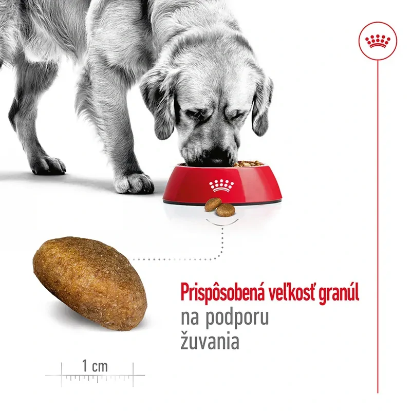 ROYAL CANIN Maxi Adult Granule pre dospelých psov veľkých plemien
