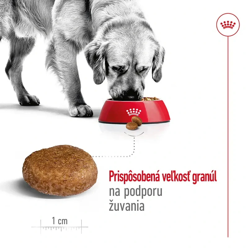ROYAL CANIN Maxi Adult 5+ Granule pre dospelé starnúce veľké psy, 15kg