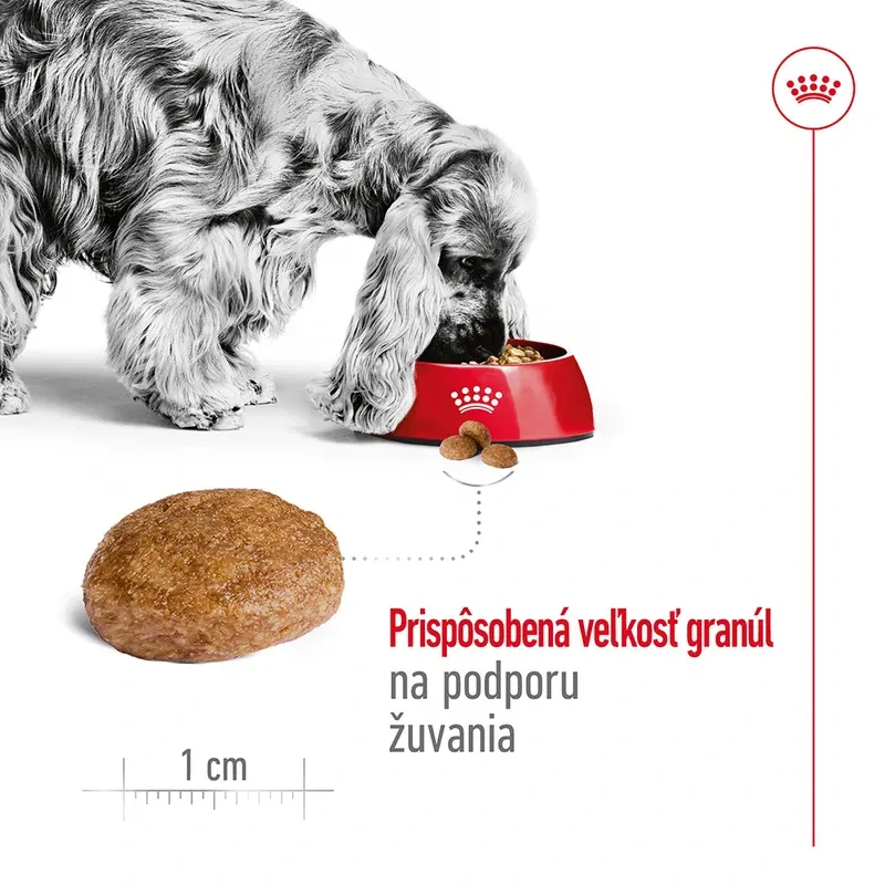 ROYAL CANIN Medium Adult 7+ Granule pre dospelé starnúce stredné psy