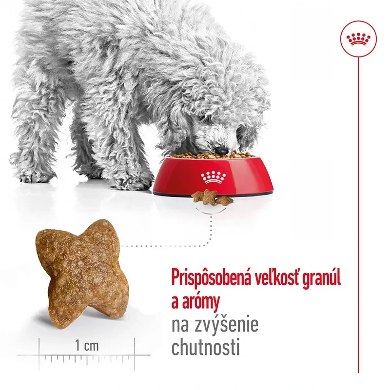 ROYAL CANIN Mini Adult Granule pre dospelých psov malých plemien, 8kg