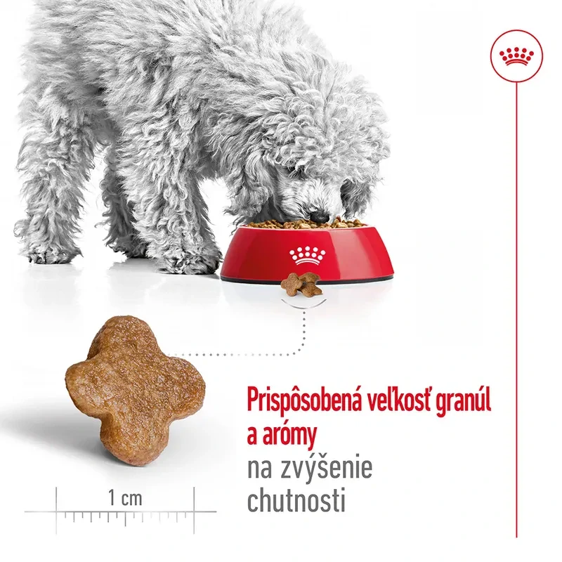 Royal Canin Mini Adult 8+ Granule pre dospelé starnúce psy, 8kg