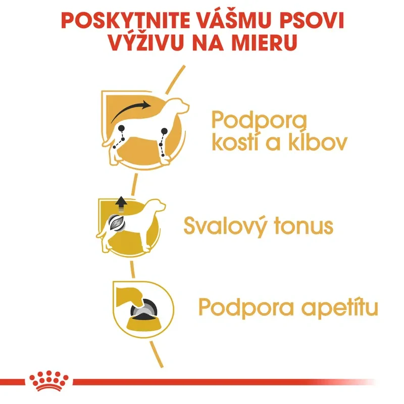 ROYAL CANIN Dachshund in Loaf Kapsička s paštétou pre jazvečíka, 12x85g