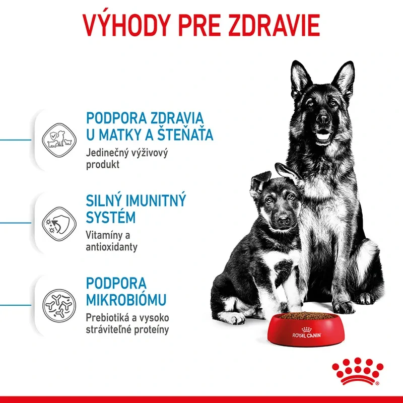 ROYAL CANIN Maxi Starter Mother & Babydog