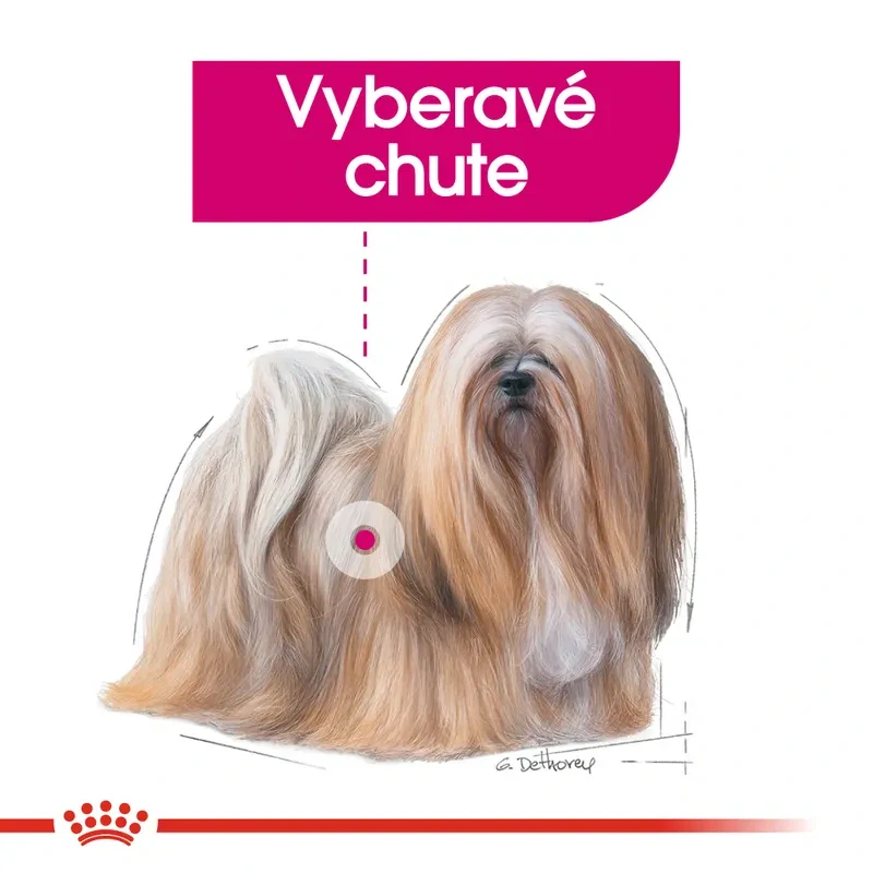 Royal Canin Exigent Dog Loaf Kapsička s paštétou pre maškrtné malé psy, 12x85g